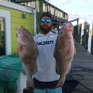 Meet your Posher, Tyler